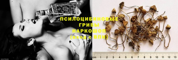 круглые Каменногорск